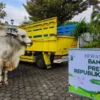 Pembelian Sapi Kurban Presiden Prabowo Subianto Bersumber dari APBN Senilai Rp100 Miliar