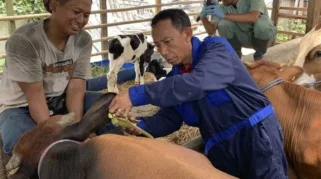 Pemda Tangerang Distribusikan Obat untuk Cegah PMK pada Hewan Kurban