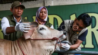 Pemeriksaan Kesehatan Hewan Kurban di Depok Pastikan Puluhan Ribu Hewan Layak Disembelih Iduladha