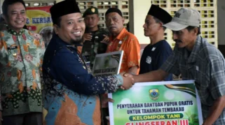Pemerintah Bondowoso Dukung Petani Tembakau dengan Program Pupuk Gratis 2026