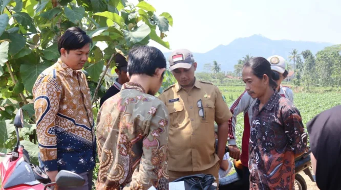 Pemerintah Fokus Kembangkan Program Produktif untuk Tingkatkan Lapangan Kerja di Kebumen