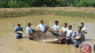 Pemerintah Fokus pada Pembenahan Hulu Sektor Perikanan