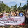 Pemerintah Perkuat Ketahanan Pangan Lewat Panen Raya Jagung Nasional di Jawa Timur