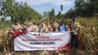Pemerintah Perkuat Ketahanan Pangan Lewat Panen Raya Jagung Nasional di Jawa Timur