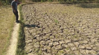 Pemkab Bojonegoro Perkuat Mitigasi Kekeringan, 73 Desa Jadi Prioritas Antisipasi Kemarau
