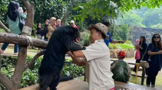 Pemkot Bandung Penuhi Kebutuhan Satwa Bandung Zoo Selama Masa Transisi