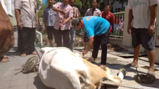 Pemkot Bekasi Minta Warga Kelola Limbah Hewan Kurban dengan Baik untuk Cegah Masalah Lingkungan