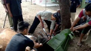 Pemkot Tangerang Kerahkan 246 Petugas Awasi Pemotongan Hewan Kurban Iduladha 1447 H