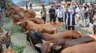 Pemotongan Kurban di RPH Resmi Bondowoso Jelang Idul Adha 1447 H