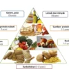 Pengertian Makanan Sehat untuk Diet pada Remaja