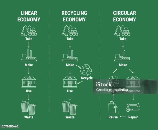 Perbandingan Model Bisnis Eco‑Friendly