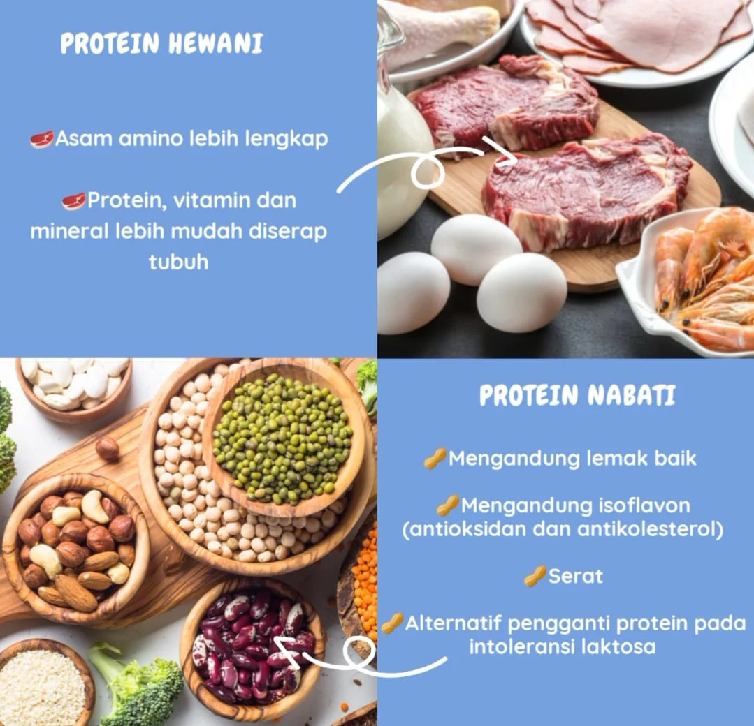 Perbandingan Nutrisi antara Sumber Nabati dan Hewani