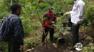 Perhutani KPH Kedu Utara dan DLH Wonosobo Perkuat Sinergi Penghijauan Kawasan Hutan Kritis