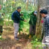 Perhutani KPH Kedu Utara Dorong Wisata Kreatif dan Berkelanjutan untuk Tingkatkan Ekonomi Masyarakat