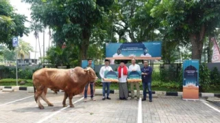Perluas Manfaat bagi Masyarakat Melalui Semangat Kebersamaan, Telkomsel Salurkan Hewan Kurban Iduladha 1447 H