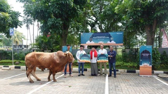 Perluas Manfaat bagi Masyarakat Melalui Semangat Kebersamaan, Telkomsel Salurkan Hewan Kurban Iduladha 1447 H