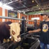 Permintaan Sapi Kurban di Lumajang Meningkat Menjelang Idul Adha 2026