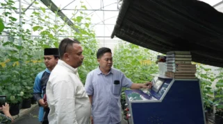 Pesantren Madania Raih Kemandirian Finansial dengan Budidaya Melon Premium Hasil Riset UGM