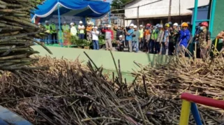 PG Assembagoes Mulai Aktivitas Giling dengan Target 540.760 Ton Tebu