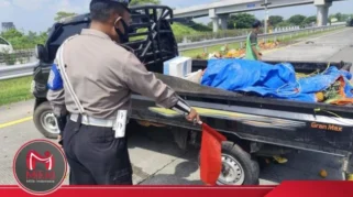 Pikap Muatan Kelapa Tumpang di Tol Gempol‑Pasuruan Usai Pecah Ban, Pengemudi Selamat
