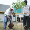 PLN UIT JBM Rayakan Hari Bumi dengan Penanaman Pohon di Gardu Induk Jatigedong