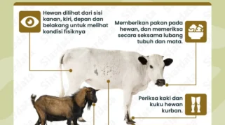 PLP UNS Berikan Panduan Memilih Hewan Kurban Sehat dan Berkualitas Jelang Iduladha