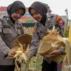 Polres Madiun Gelar Panen Raya Jagung Serentak Dukung Swasembada Pangan Nasional