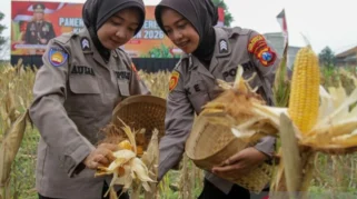 Polres Madiun Gelar Panen Raya Jagung Serentak Dukung Swasembada Pangan Nasional