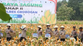 Polres Sumedang Gelar Panen Raya Jagung di Lahan 12 Hektar dengan Harapan Hasil Optimal