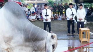 Posko Haji Lulung Sembelih 27 Sapi dan 7 Kambing di Hari Raya Iduladha 1447 H