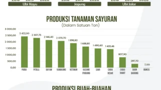 Potensi Pertanian Organik di Desa Banyuwangi: Analisis Lingkungan dan Sosial