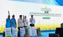 Prabowo Sebut Pencapaian Swasembada Pangan dalam 19 Bulan Memimpin Indonesia