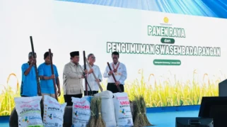 Prabowo Sebut Pencapaian Swasembada Pangan dalam 19 Bulan Memimpin Indonesia