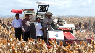 Prabowo Subianto Hadiri Panen Raya Jagung di Tuban, Warga Antusias Sambut Kedatangan Presiden