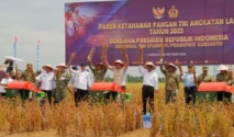 Prajurit TNI AL Sukses Panen Kedela, Perkuat Ketahanan Pangan Nasional