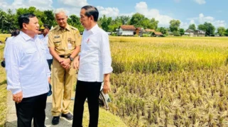 Presiden Prabowo Hadiri Panen Raya Udang di Kebumen, Dorong Perekonomian Masyarakat Pesisir