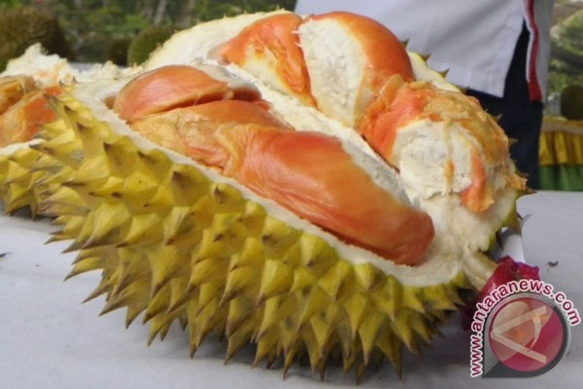 Produk Unggulan di Pasar Pujasera Banyuwangi
