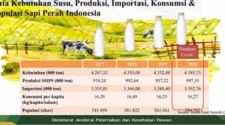 Produktivitas Susu Nasional Baru Capai 23 Persen dari Kebutuhan Konsumsi
