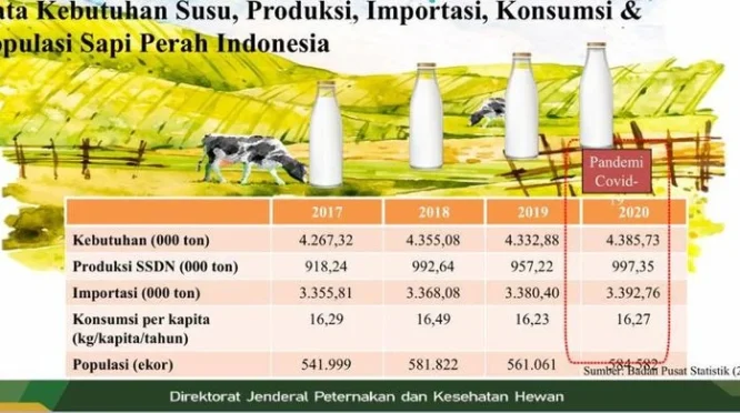 Produktivitas Susu Nasional Baru Capai 23 Persen dari Kebutuhan Konsumsi
