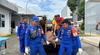 Puskesmas Cimerak Beri Klarifikasi Terkait Penanganan Korban Laka Laut di Madasari Pangandaran