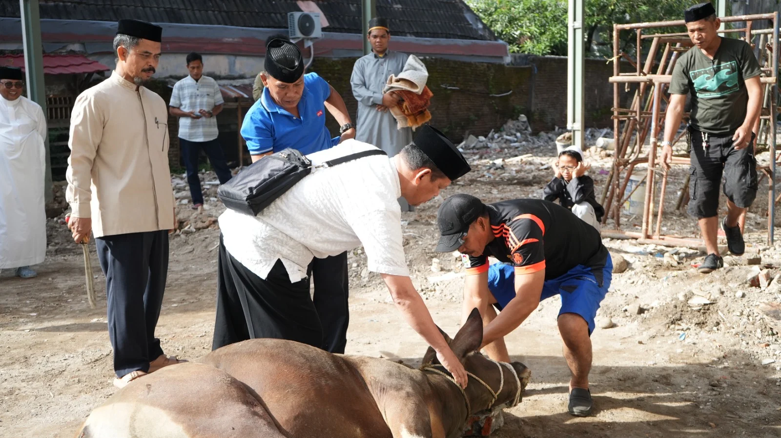 PWI Dan IKWI Kabupaten Indramayu Gelar Pemotongan Hewan Kurban, Satu Ekor Sapi dan Tiga Ekor Kambing di Hari Raya Idul Adha 1447 H