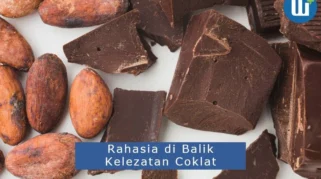 Rahasia di Balik Coklat: Mengapa Ia Menjadi “Pendorong Mood” Alami?