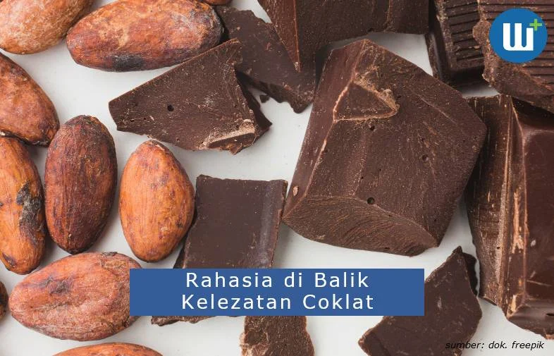Rahasia di Balik Coklat: Mengapa Ia Menjadi “Pendorong Mood” Alami?