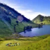 Ranu Regulo, Pesona Danau Alami di Kaki Gunung Semeru