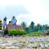 Regenerasi Petani Banyuwangi: Program Jagoan Tani Tingkatkan Minat Anak Muda