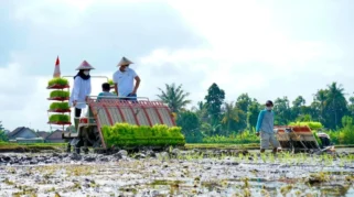Regenerasi Petani Banyuwangi: Program Jagoan Tani Tingkatkan Minat Anak Muda