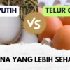 Saat Beli Telur, Pilih yang Putih atau Cokelat?