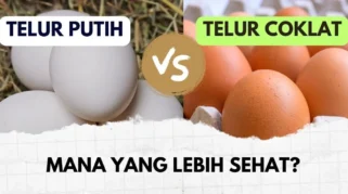 Saat Beli Telur, Pilih yang Putih atau Cokelat?