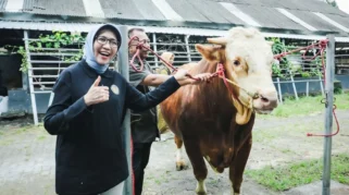 Sapi “Kang Jo” dari Desa Sukosari Lumajang Terpilih Jadi Hewan Kurban Presiden Prabowo Subianto