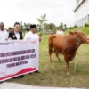 Sapi Kurban Presiden Adalah Bantuan Pemerintah kepada Rakyat